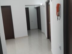 Unirii, Fantani